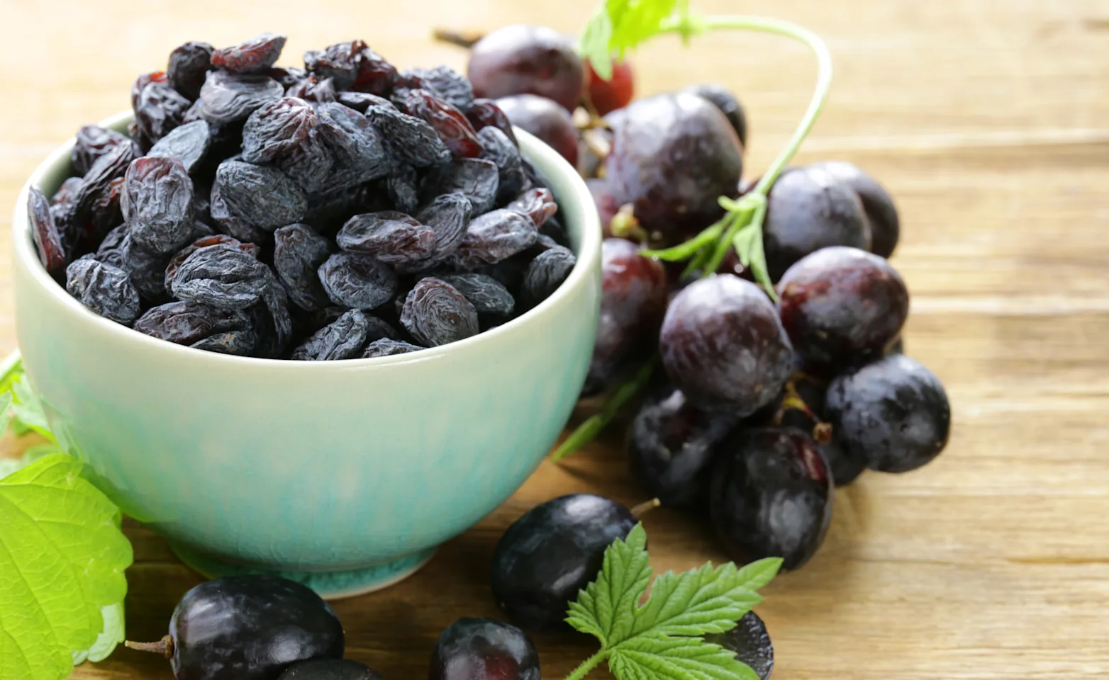 Organic Bulk Iranian Raisins for African Union Food Tenders; Wholesale Pricing & Long-Term Supply Partnerships